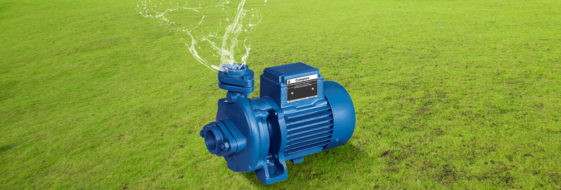 Motor and pumps