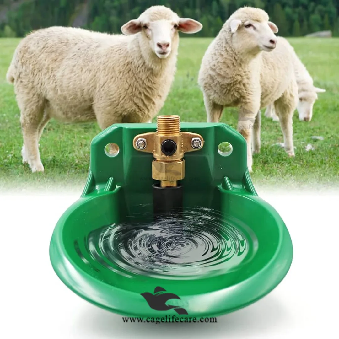 Drinking bowls and bottles